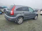 2010 Honda Cr-v