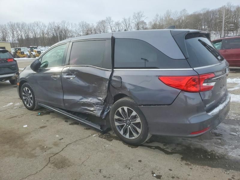 2024 Honda Odyssey exl