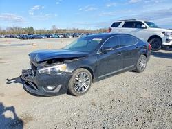 KIA Cadenza salvage cars for sale: 2016 KIA Cadenza Luxury