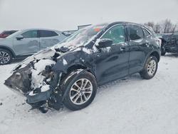 Ford salvage cars for sale: 2022 Ford Escape se