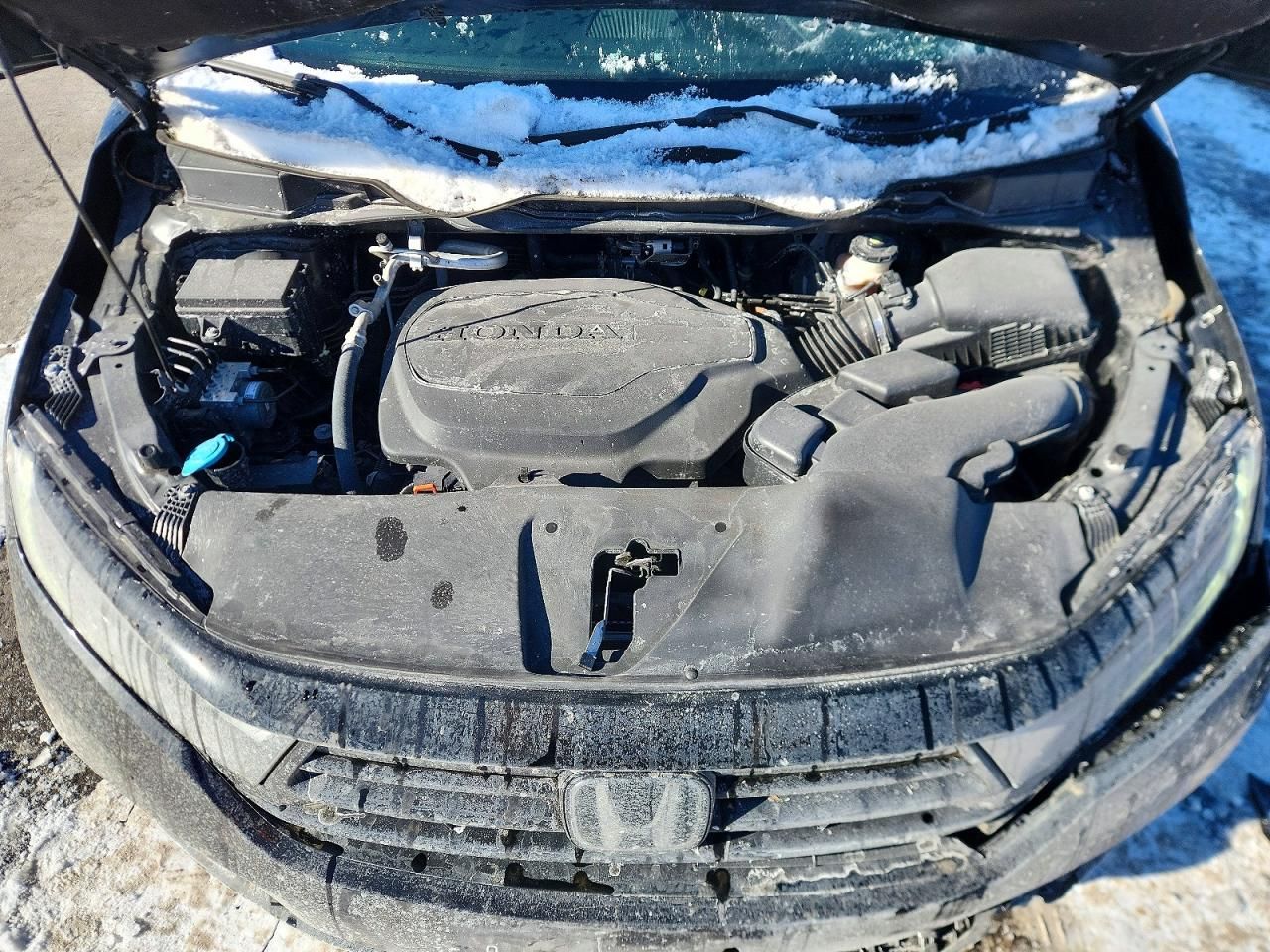 2023 Honda Odyssey Sport-l