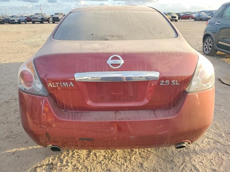 2010 Nissan Altima Base