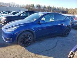 Tesla salvage cars for sale: 2023 Tesla Model y