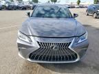 2024 Lexus Es 300h Base