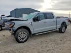 2024 Ford F150 xlt