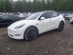 Tesla Vehiculos salvage en venta: 2023 Tesla Model y