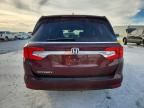 2019 Honda Odyssey exl
