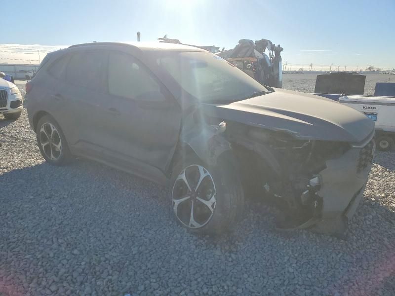 2024 Ford Escape st Line Select
