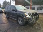2014 Lexus Gx 460 Premium