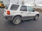 2003 Ford Escape xlt