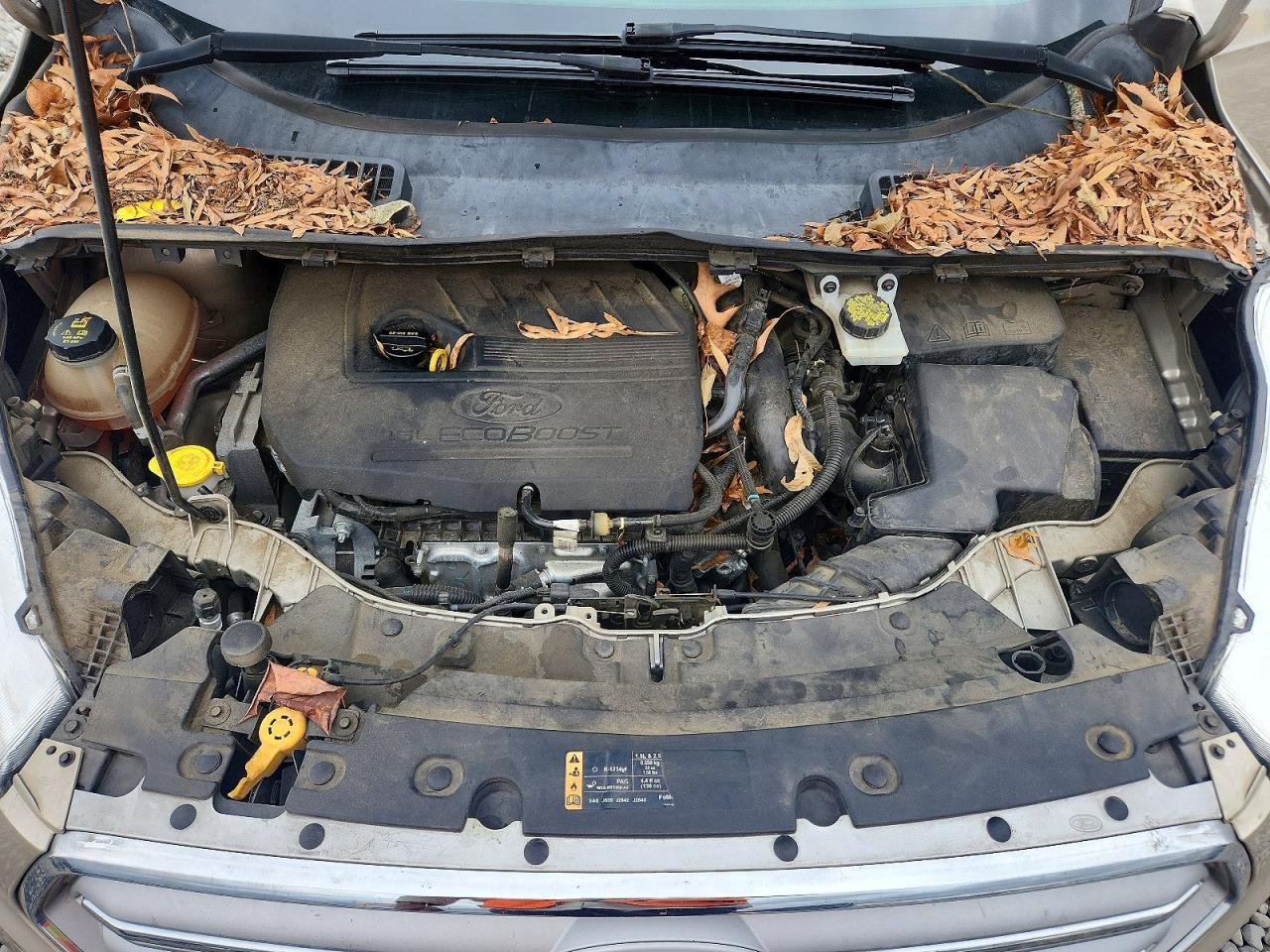 2018 Ford Escape se