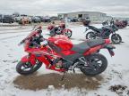 2021 Honda CBR300 RA