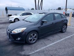2014 Ford Focus se en venta en Van Nuys, CA