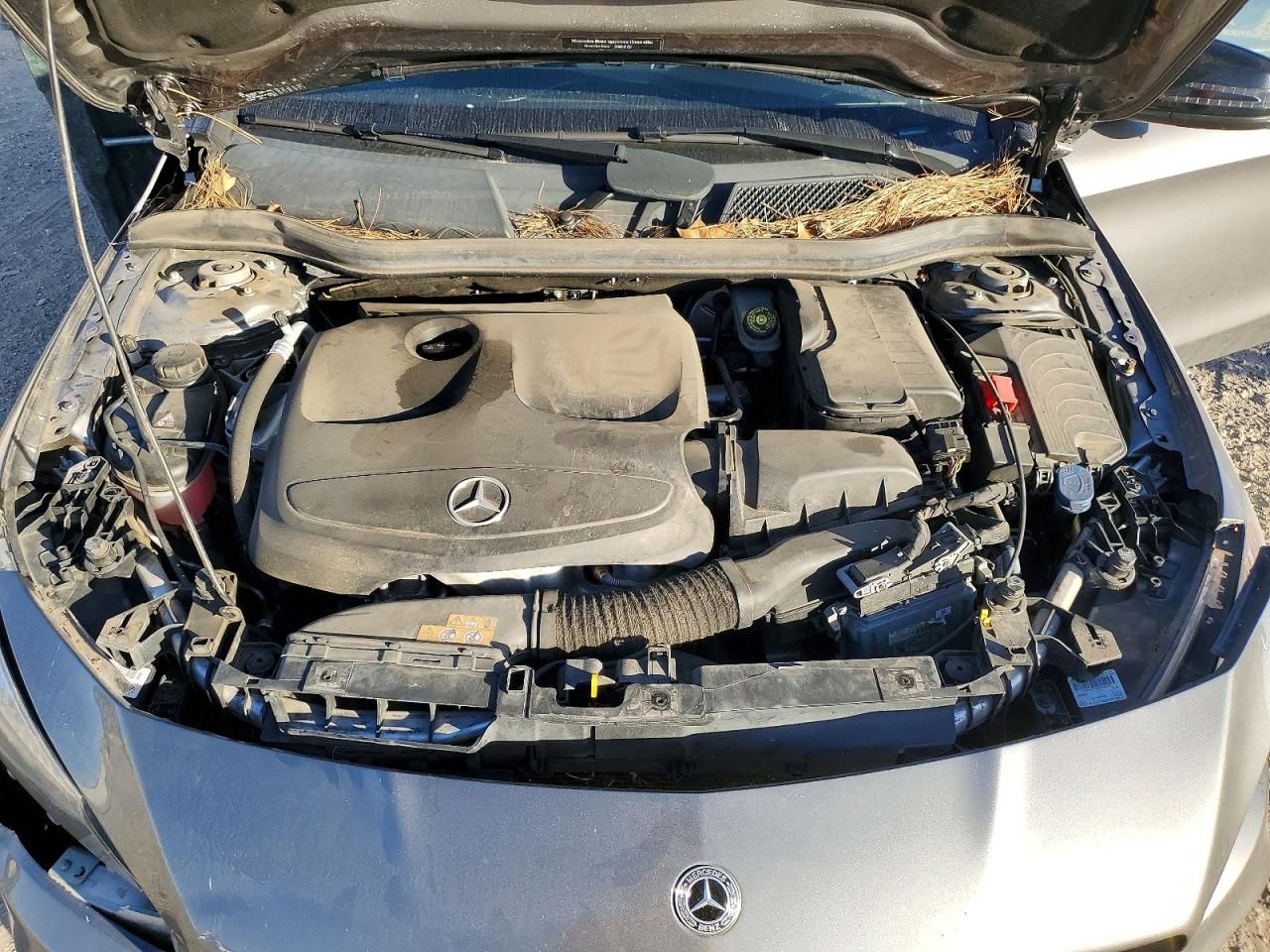 2019 Mercedes-Benz Cla 250