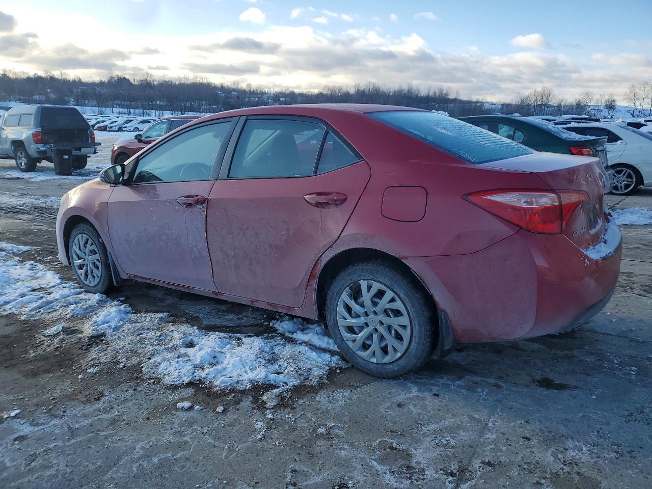 2019 Toyota Corolla l