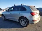 2014 Audi Q5 tdi Premium Plus