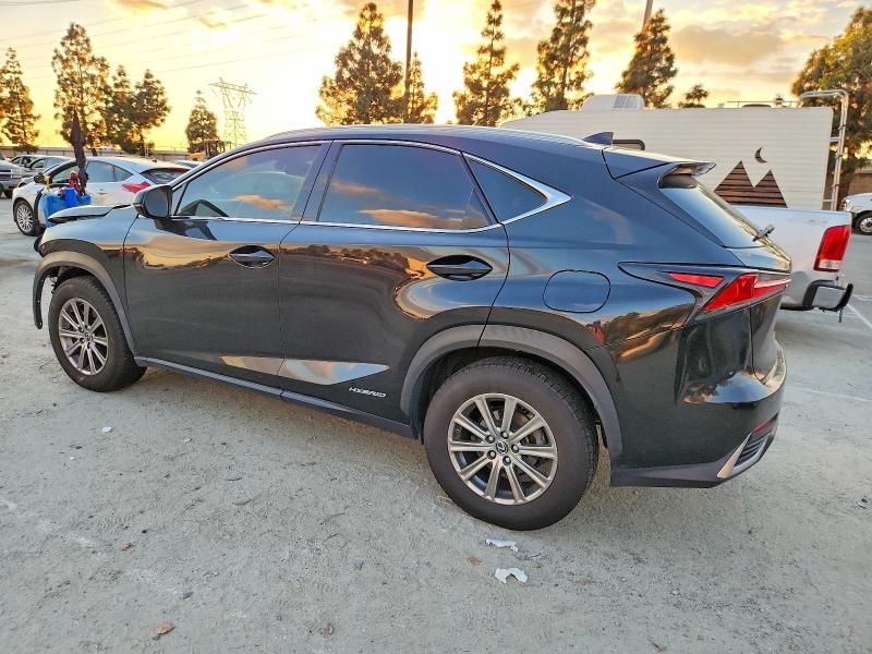 2019 Lexus Nx 300h