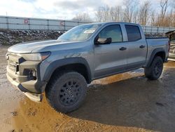 Chevrolet Colorado t salvage cars for sale: 2024 Chevrolet Colorado Trail Boss