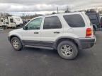 2003 Ford Escape xlt