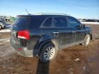 2011 KIA Sorento ex