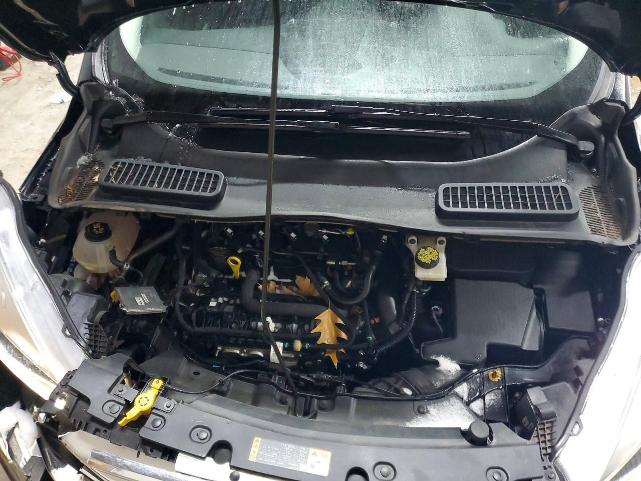 2019 Ford Escape sel