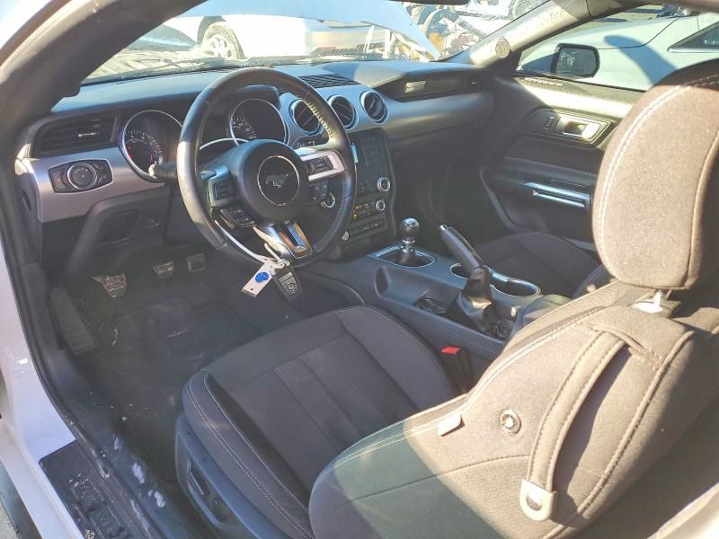 2022 Ford Mustang gt