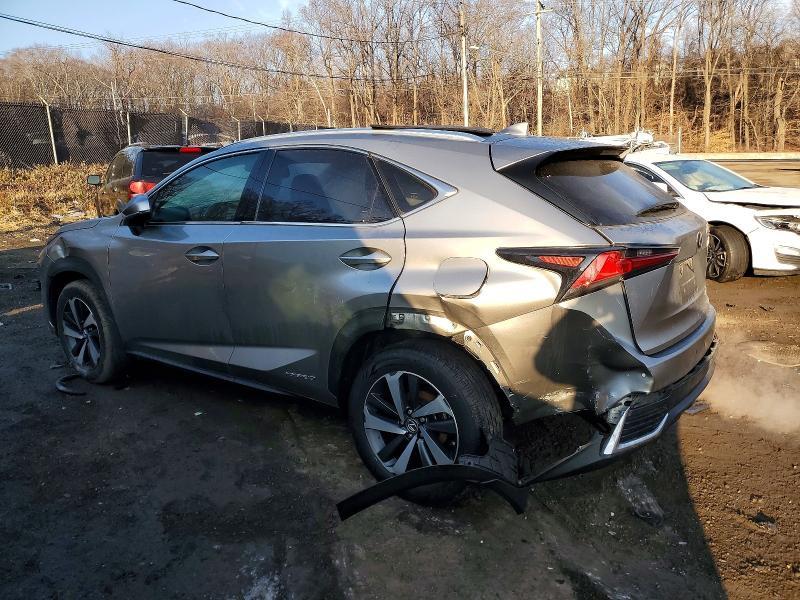 2020 Lexus Nx300h