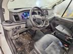 2023 Ford Transit Cargo van t