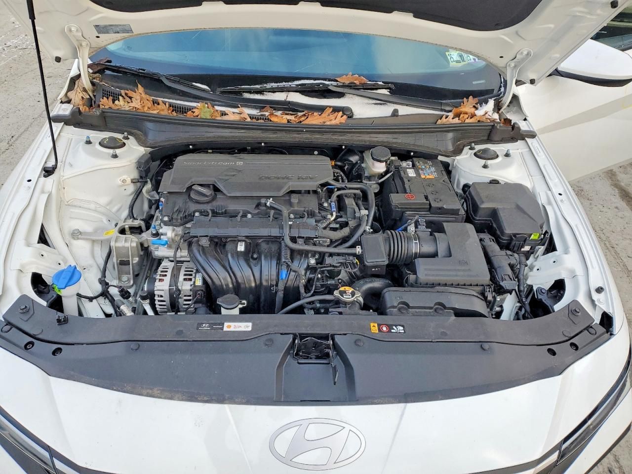 2025 Hyundai Elantra se