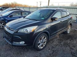 Ford Vehiculos salvage en venta: 2014 Ford Escape
