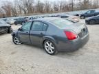 2006 Nissan Maxima se
