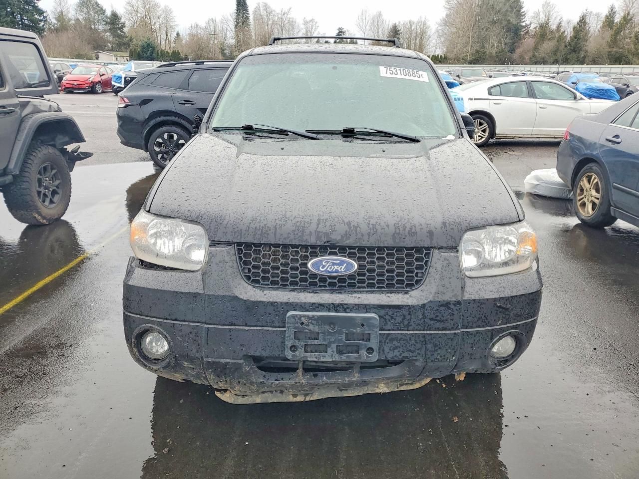 2006 Ford Escape Limited