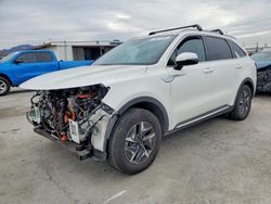 Salvage cars for sale from Copart Sun Valley, CA: 2023 KIA Sorento ex