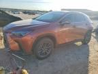 2025 Lexus Nx 350 Luxury