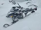 2025 Skidoo Expedition SE 900 T