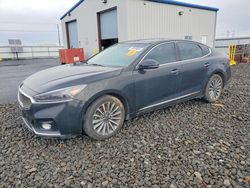 KIA Cadenza salvage cars for sale: 2017 KIA Cadenza Premium