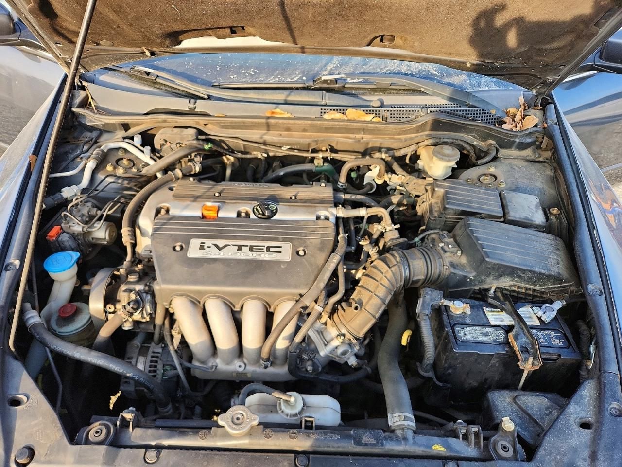 2006 Honda Accord se