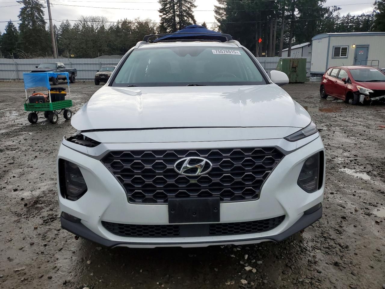 2020 Hyundai Santa fe sel