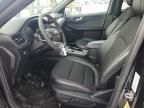2025 Ford Escape st Line