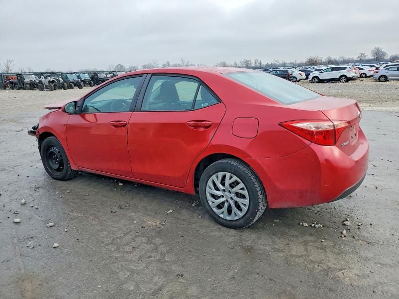 2019 Toyota Corolla l
