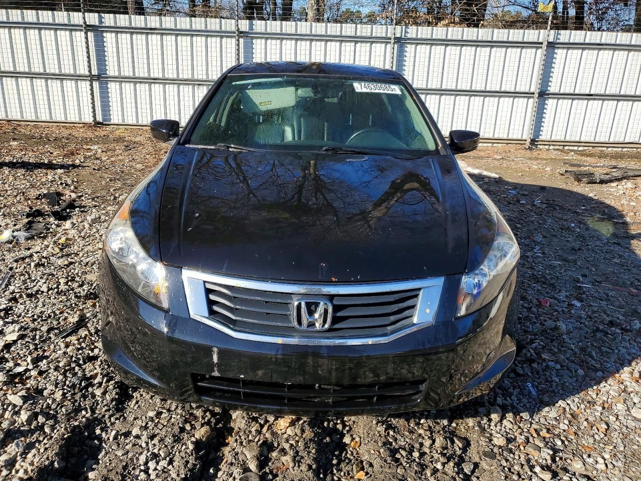 2009 Honda Accord exl