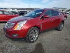 2010 Cadillac Srx Performance Collection