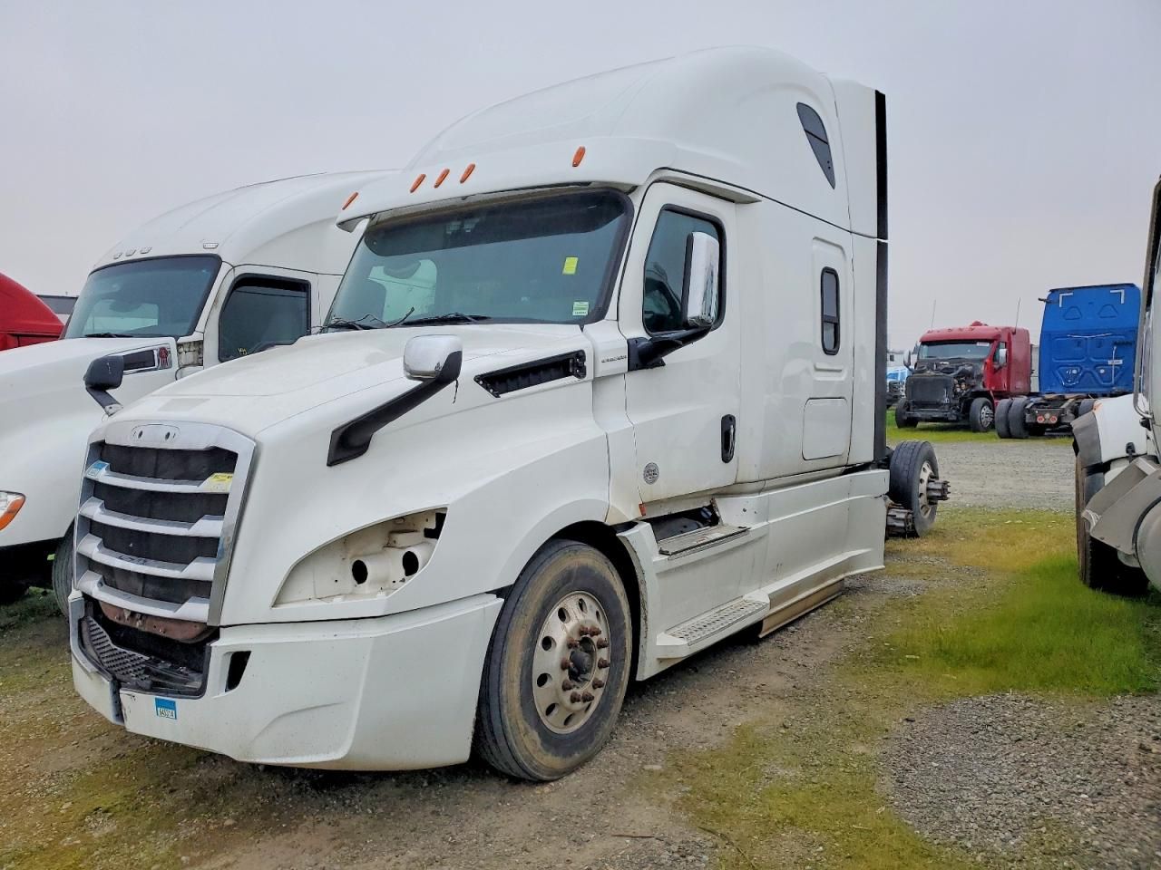 2020 Freightliner Cascadia 126 Semi Truck