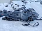2025 Skidoo Expedition 900 ACE