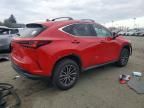 2024 Lexus Nx 350h Base