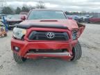2015 Toyota Tacoma Double cab Prerunner