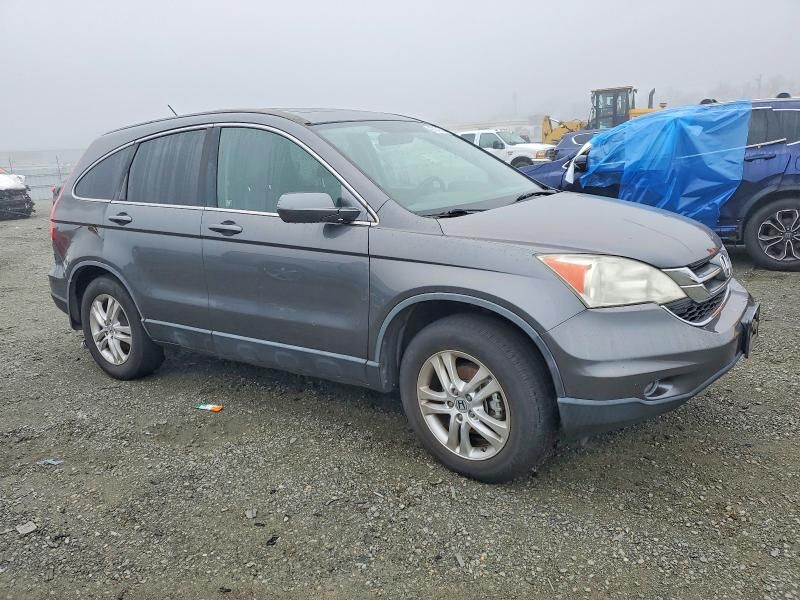 2010 Honda Cr-v exl