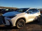 2024 Lexus Nx 350h Base