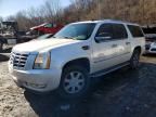 2007 Cadillac Escalade esv