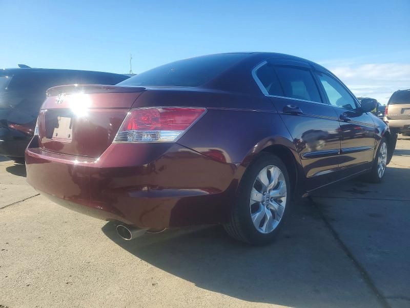 2010 Honda Accord lxp
